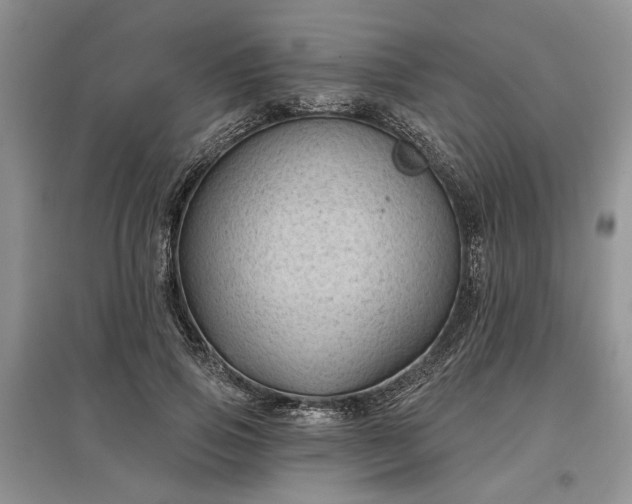 X0000097610741200803071449