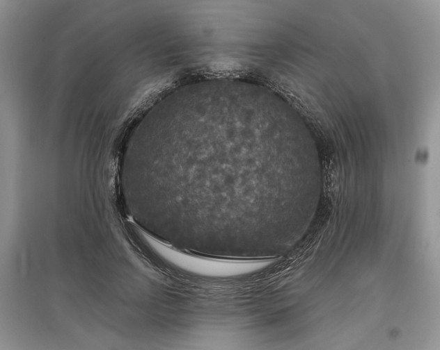 X0000097610742200803071449