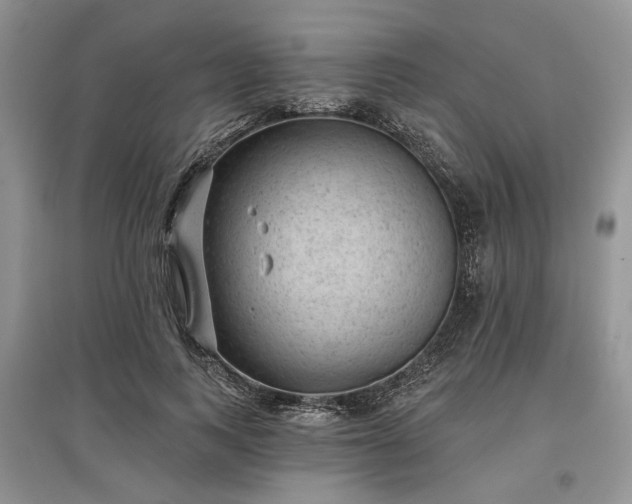 X0000097610743200803071449