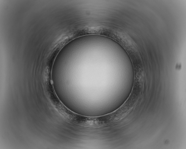 X0000097610744200803071449