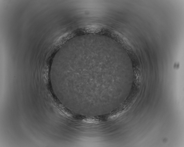 X0000097610745200803071449