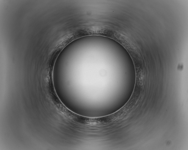 X0000097610746200803071449