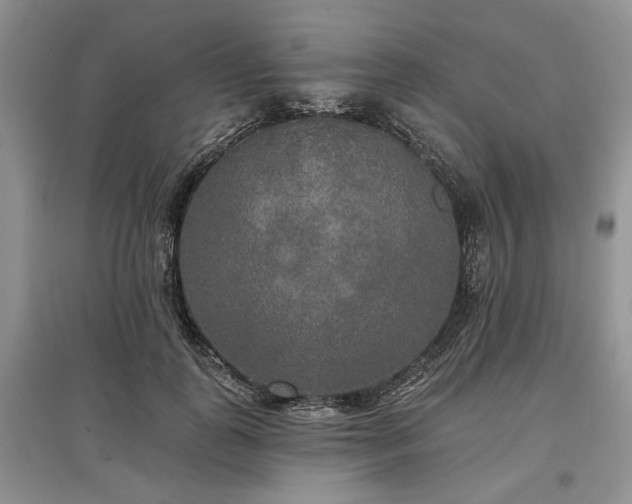 X0000097610747200803071449