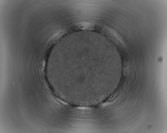 X0000097610748200803071449