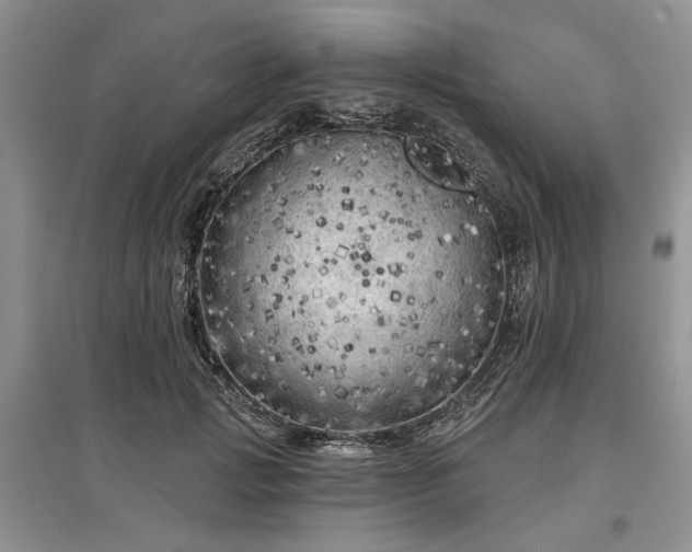 X0000097610749200803071449