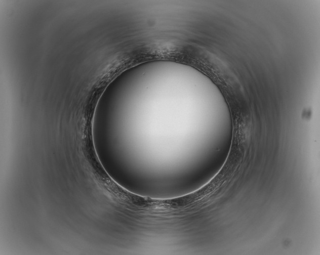 X0000097610750200803071449