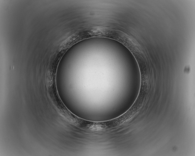X0000097610751200803071449