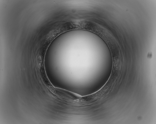 X0000097610752200803071449