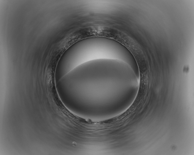 X0000097610754200803071449
