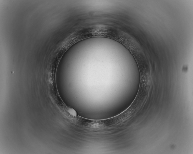 X0000097610755200803071449