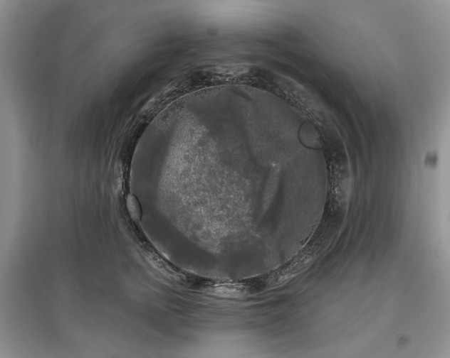 X0000097610758200803071449