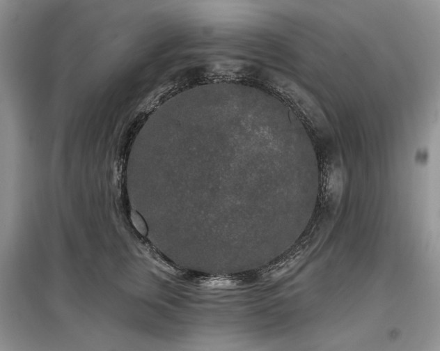 X0000097610759200803071449