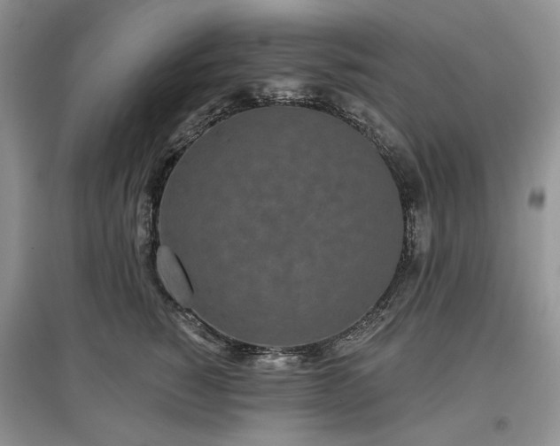 X0000097610760200803071449