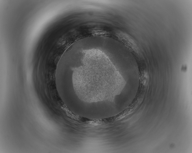 X0000097610763200803071449
