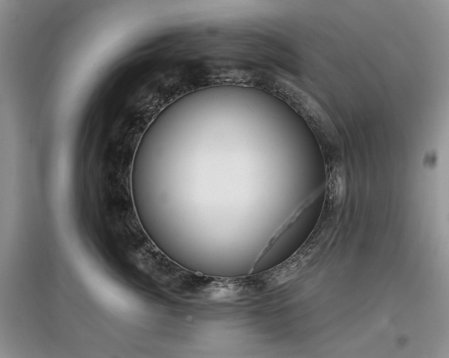 X0000097610764200803071449