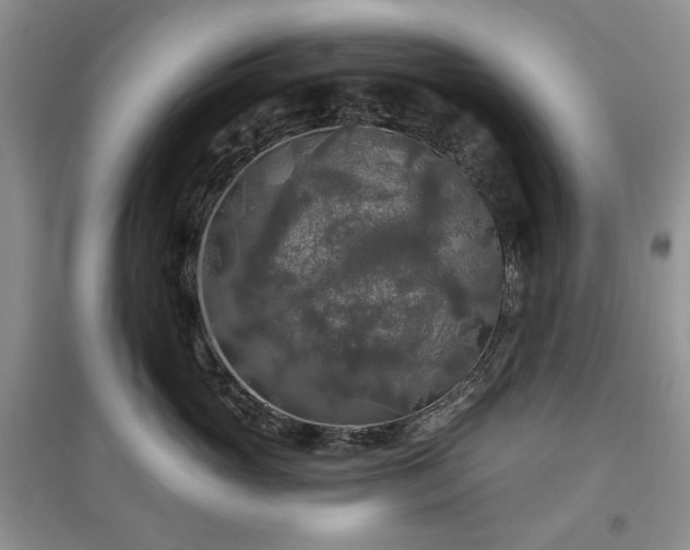 X0000097610765200803071449