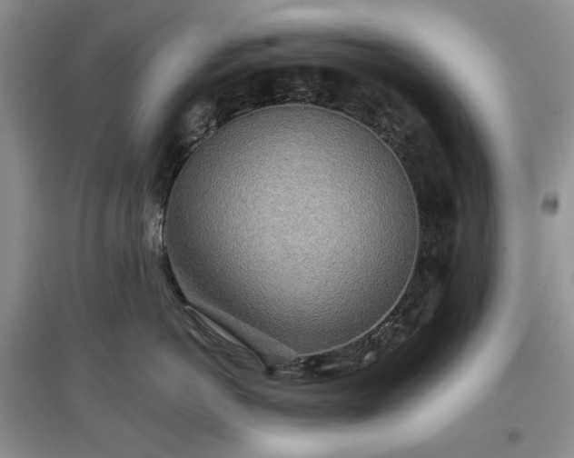 X0000097610766200803071449