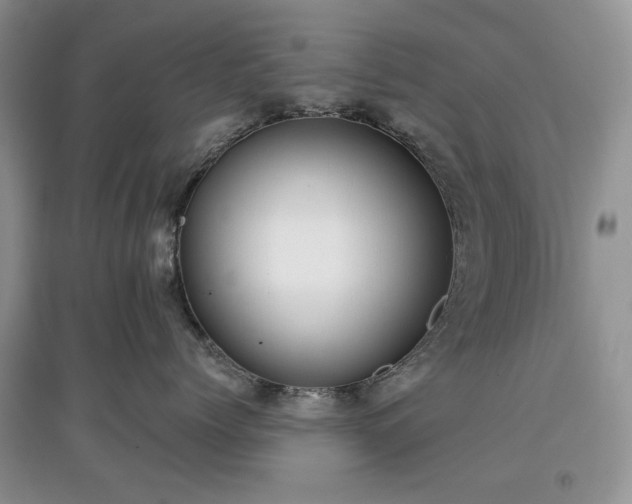 X0000097610768200803071449
