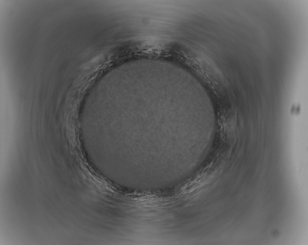 X0000097610769200803071449