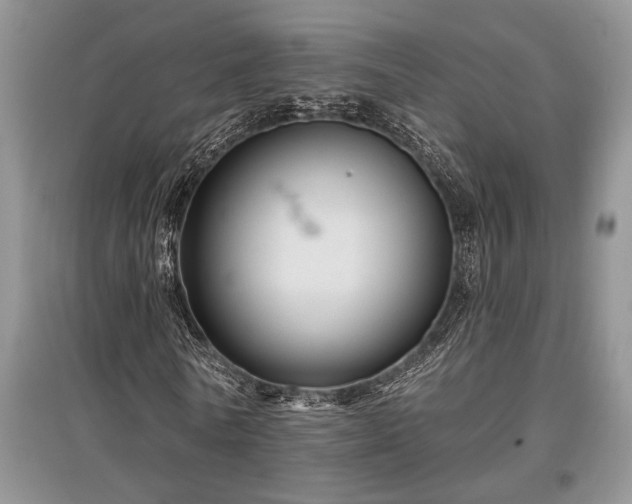 X0000097610770200803071449