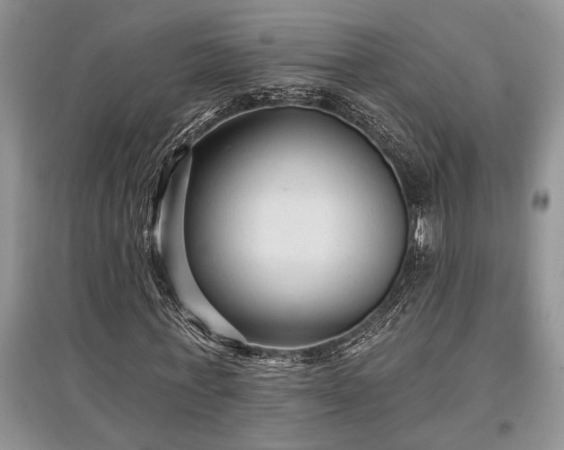 X0000097610771200803071449