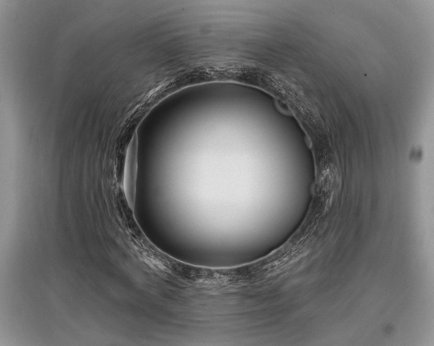 X0000097610772200803071449