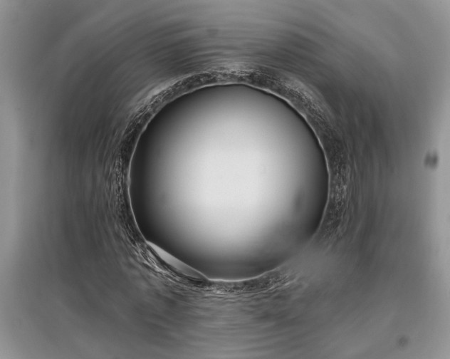 X0000097610773200803071449