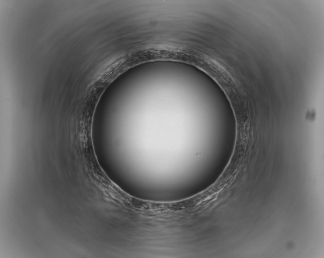 X0000097610774200803071449