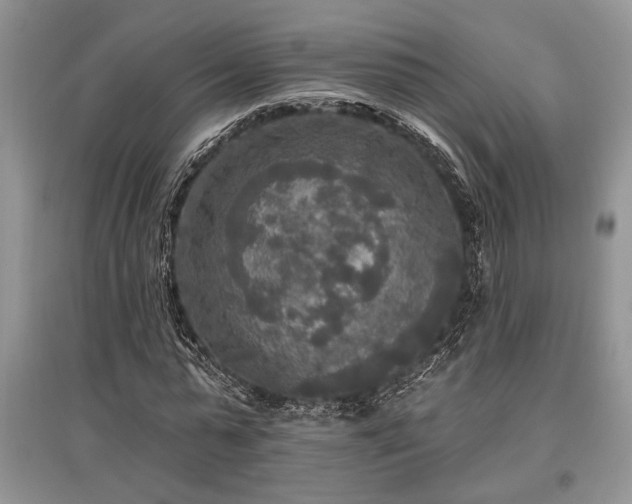 X0000097610775200803071449