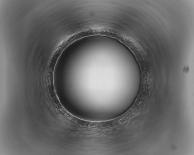 X0000097610776200803071449