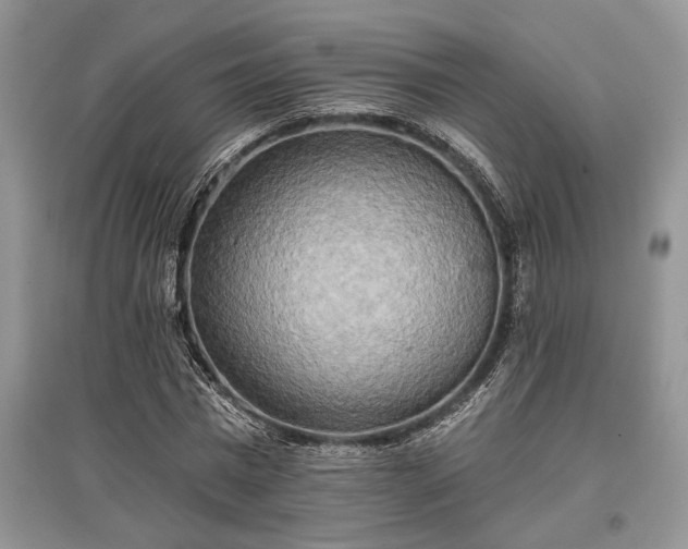 X0000097610777200803071449