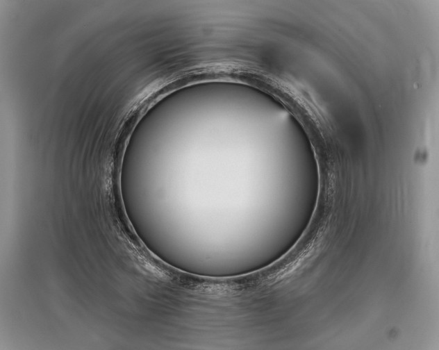 X0000097610778200803071449
