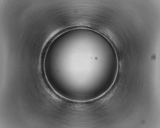 X0000097610780200803071449