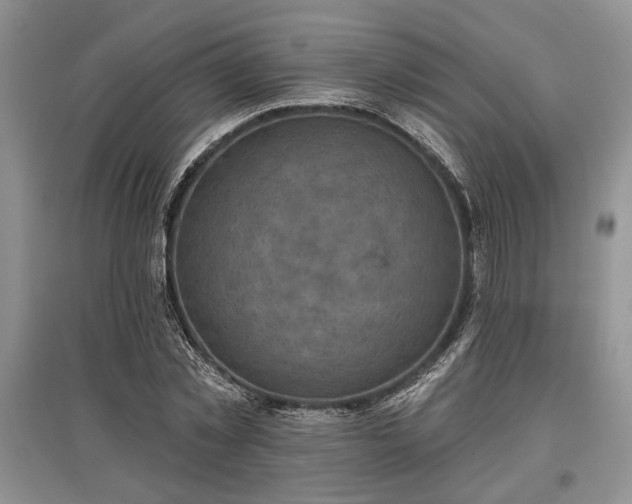 X0000097610781200803071449
