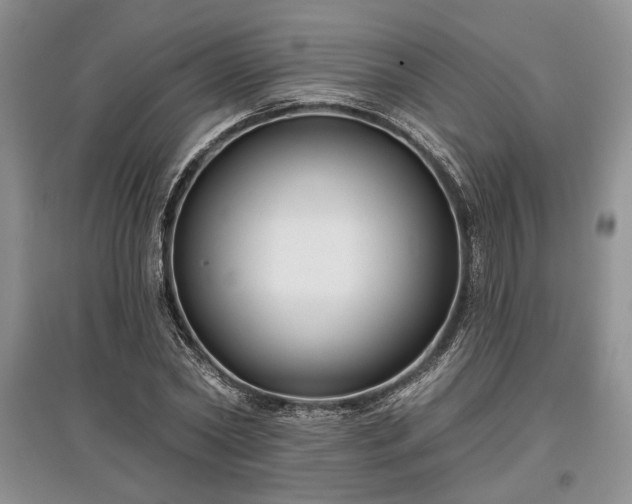 X0000097610782200803071449