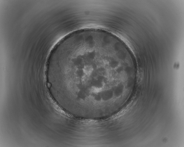 X0000097610783200803071449