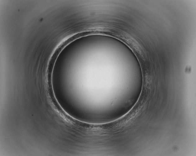 X0000097610784200803071449