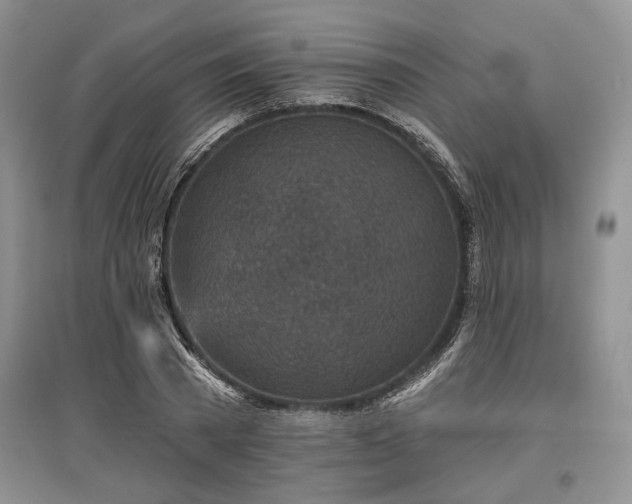 X0000097610785200803071449