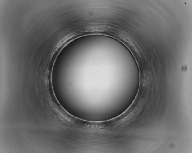 X0000097610786200803071449