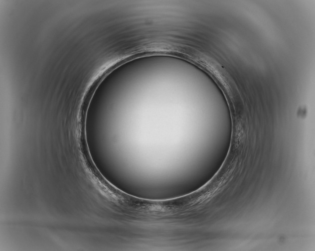 X0000097610787200803071448