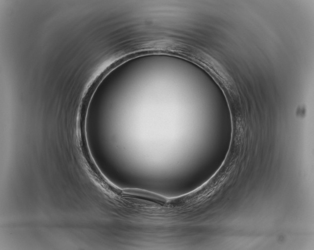 X0000097610788200803071448