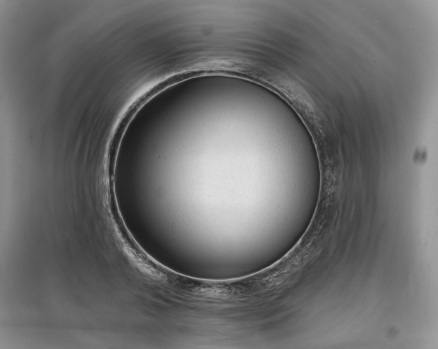 X0000097610792200803071448
