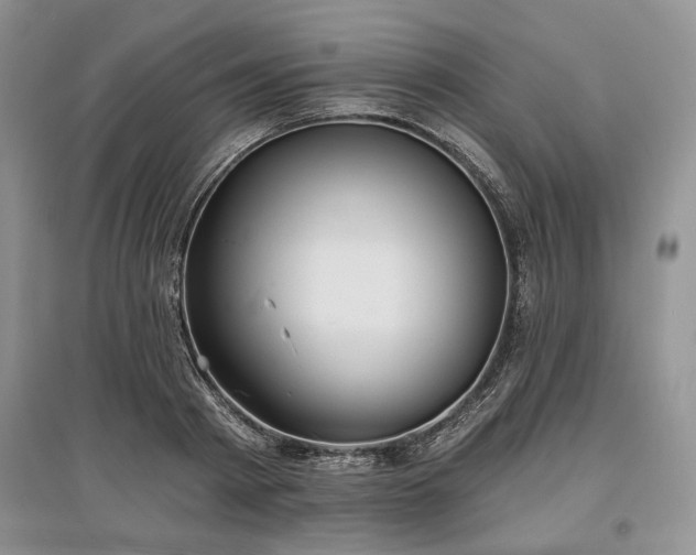 X0000097610793200803071448