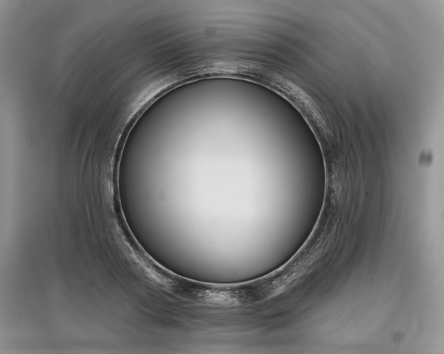 X0000097610794200803071448