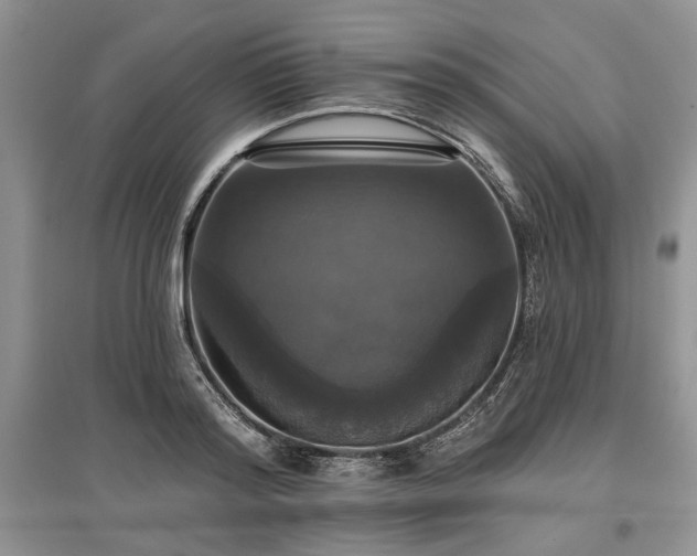 X0000097610796200803071448
