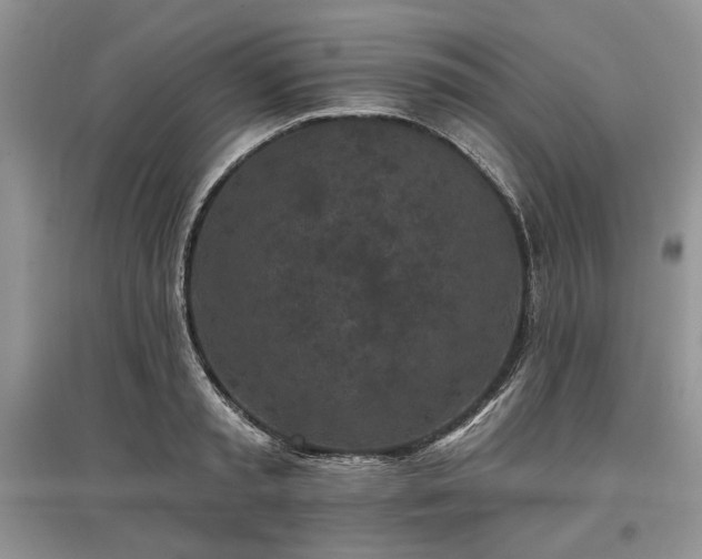 X0000097610797200803071448