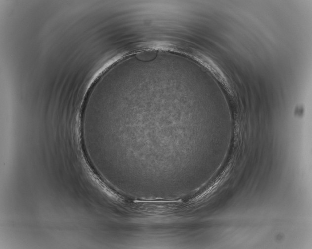 X0000097610798200803071448
