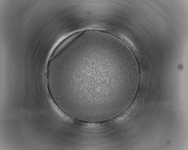 X0000097610800200803071448