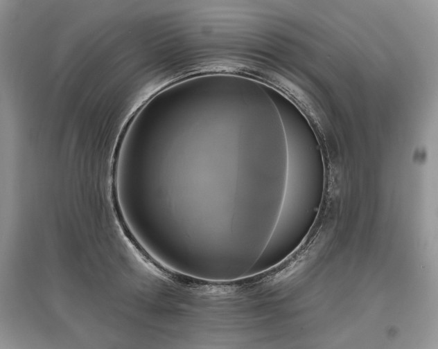 X0000097610802200803071448