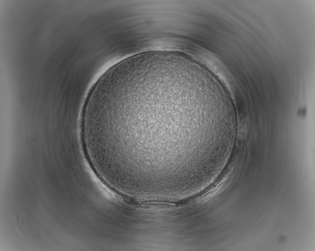 X0000097610803200803071448